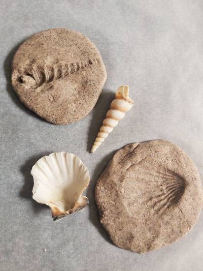 skamielina z masy solnej